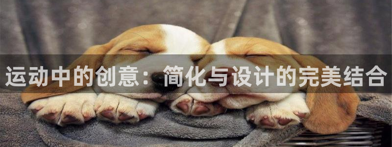 南宫大舞台官方正版app娱乐网站：运动中的创意：简化与设计的