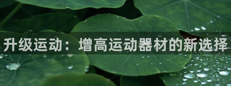 南宫大舞台官方正版app代理：升级运动：增高运动器材