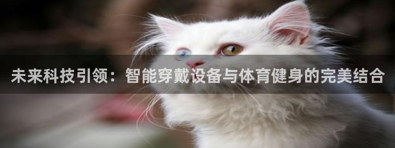 南宫大舞台官网下载招商电话是多少啊：未来科技引领：智能穿戴设