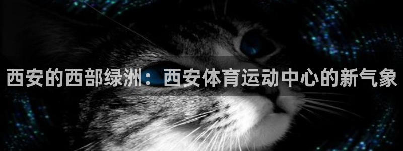 球王会体育：西安的西部绿洲：西安体育运动中心的新气象