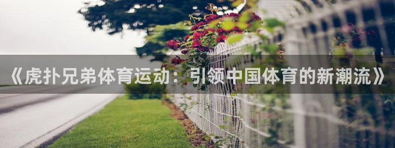球王会体育：《虎扑兄弟体育运动：引领中国体育的新潮流》