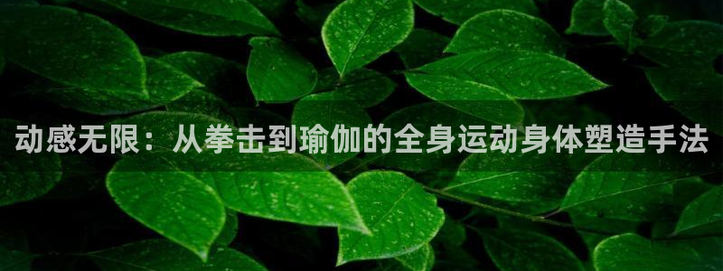 球王会体育：动感无限：从拳击到瑜伽的全身运动身体塑造手法