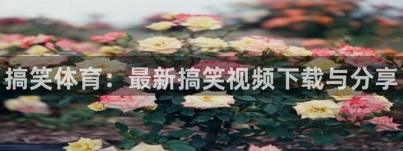 球王会体育：搞笑体育：最新搞笑视频下载与分享