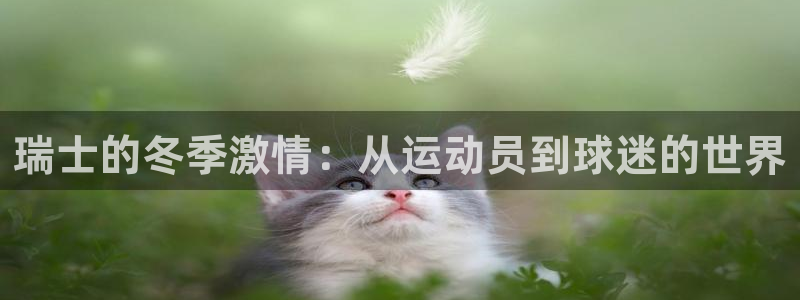 球王会体育：瑞士的冬季激情：从运动员到球迷的世界