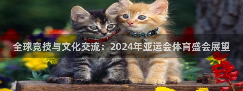 球王会体育：全球竞技与文化交流：2024年亚运会体育盛会展望