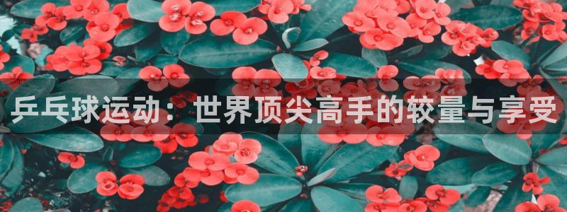 球王会体育：乒乓球运动：世界顶尖高手的较量与享受