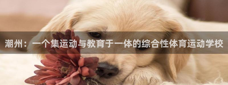 球王会体育：潮州：一个集运动与教育于一体的综合性体育运动学校